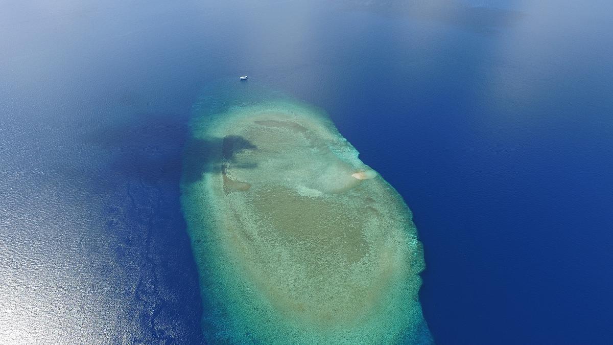 wilde philippinen