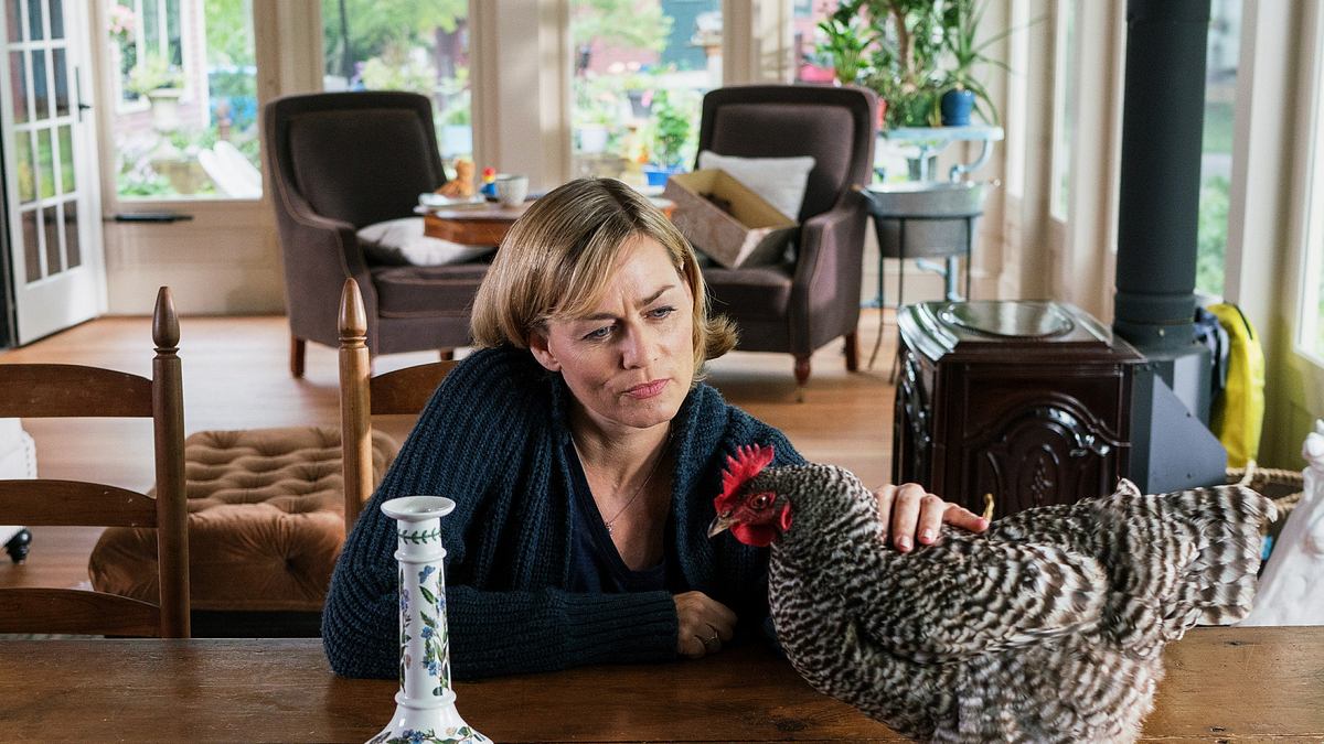 katie fforde: mama allein zu haus