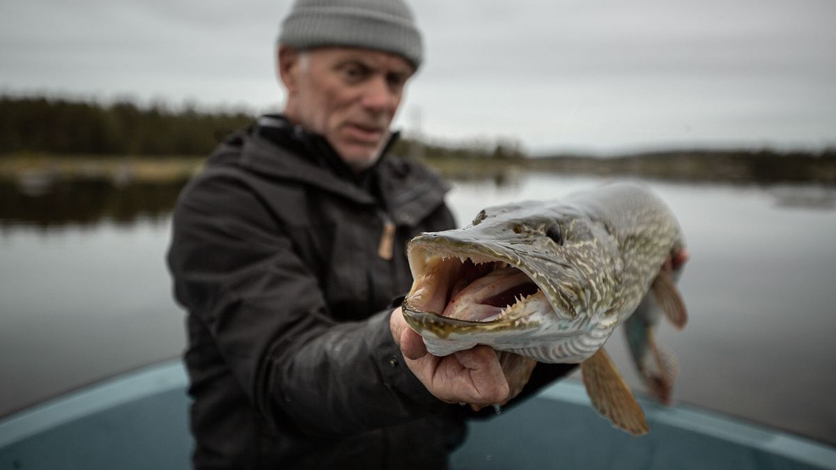 dark waters mit jeremy wade