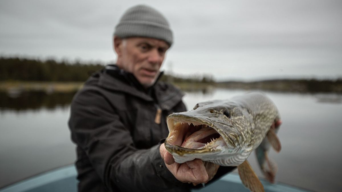 dark waters mit jeremy wade
