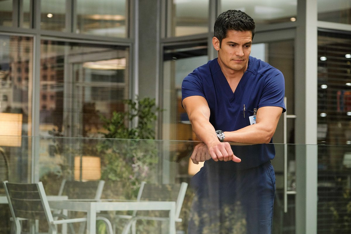 The Good Doctor the good doctor