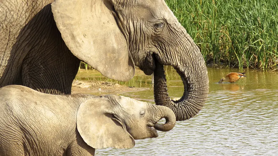 Brahmaputra - Der große Fluss vom Himalaja brahmaputra - der große fluss vom himalaja