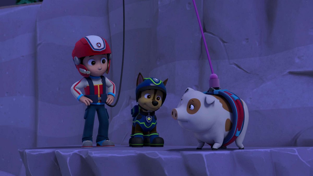 paw patrol - helfer auf vier pfoten