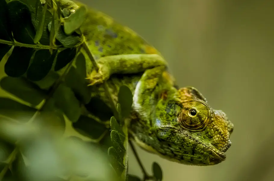 Unbekanntes Madagaskar unbekanntes madagaskar