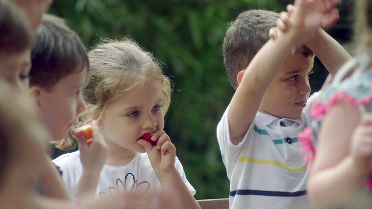 krippen - kleine kinder, großes geld: ein system, das mit steuergeldern gefüttert wird