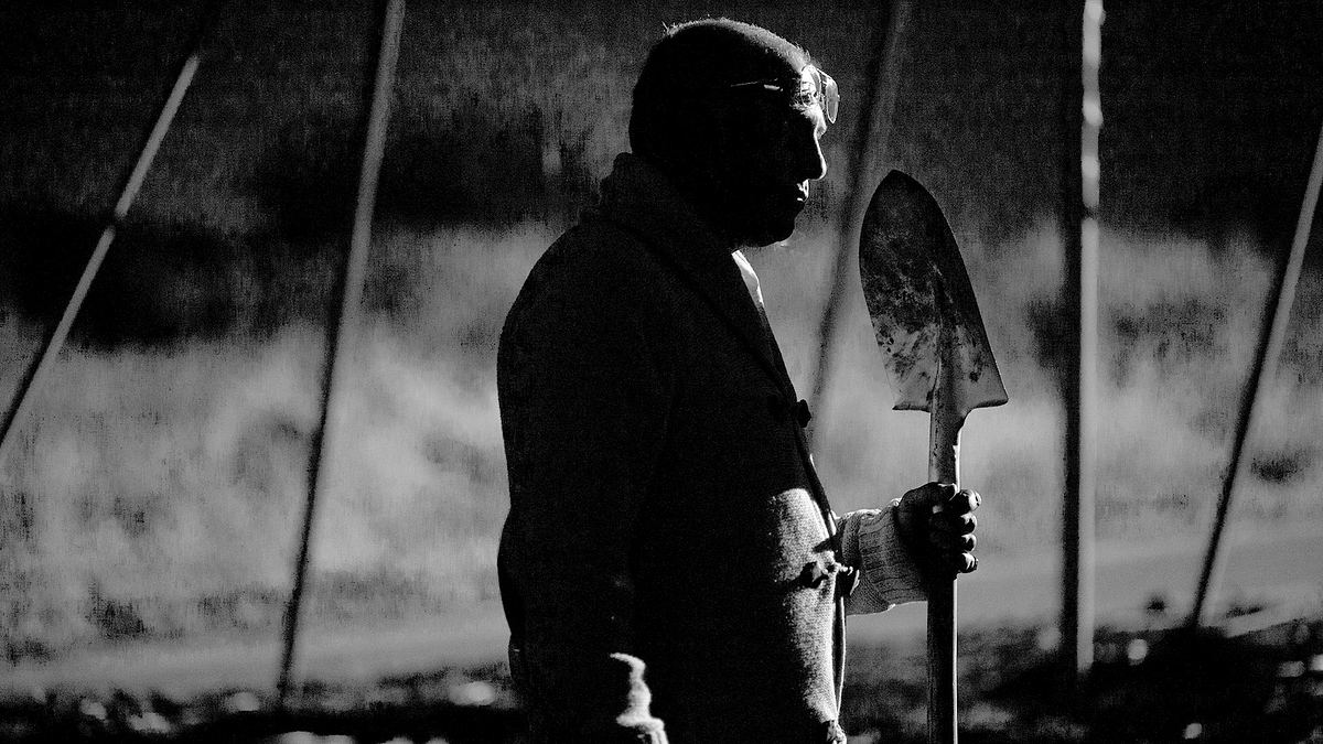 big bad wolves