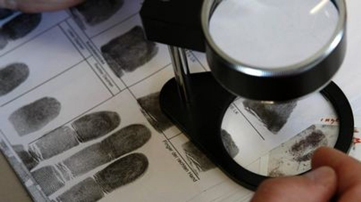Dem Verbrechen auf der Spur dem verbrechen auf der spur