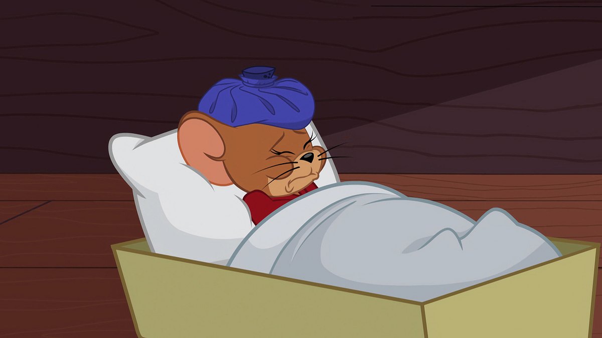 die tom und jerry show