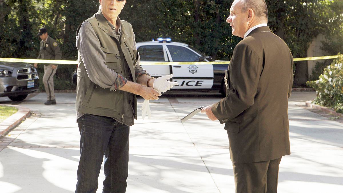 csi: vegas