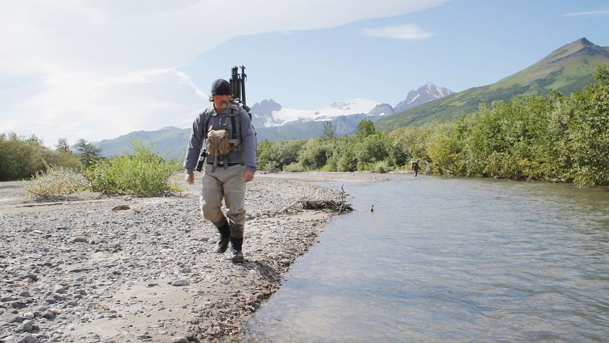 tracker diaries - die bären von alaska