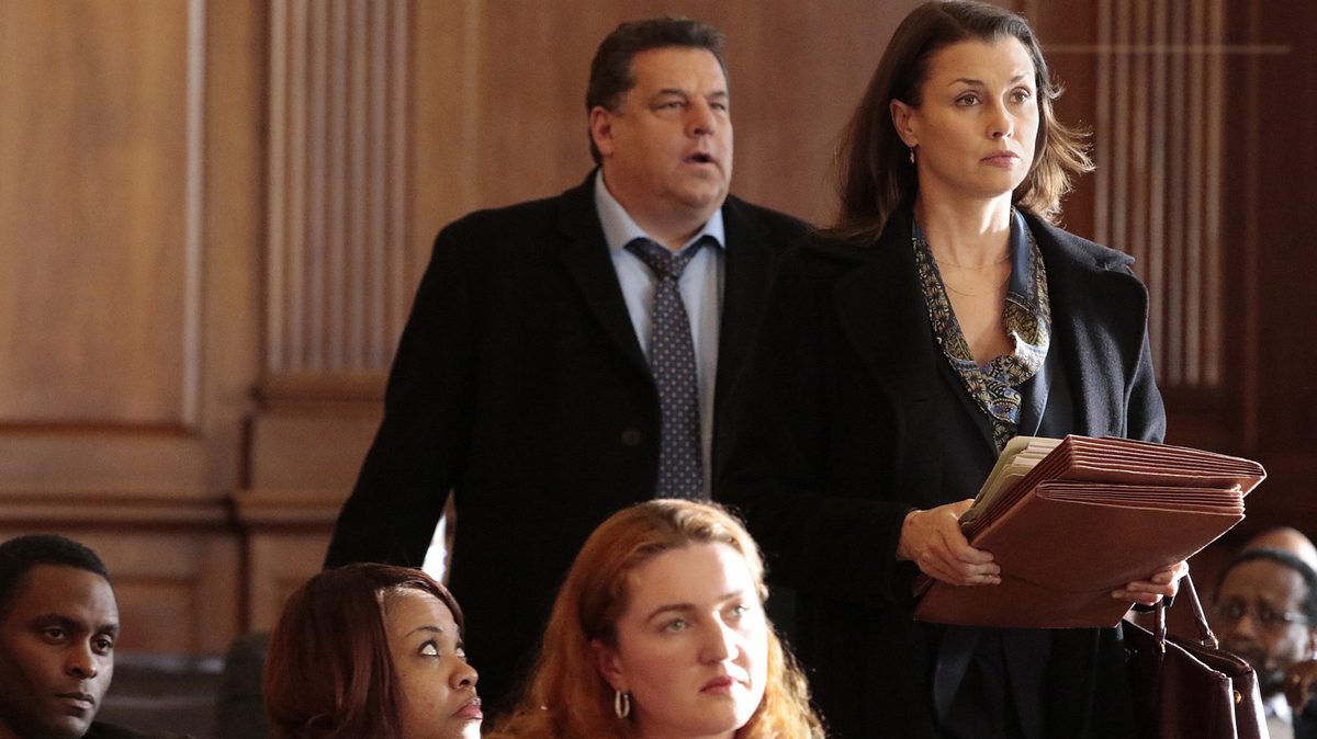 blue bloods - crime scene new york