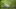 Video Platzhalter Video Platzhalter