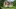 Video Platzhalter
