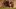 Video Platzhalter Video Platzhalter