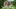 Video Platzhalter