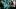 Video Platzhalter Video Platzhalter