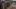 Video Platzhalter Video Platzhalter