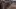 Video Platzhalter Video Platzhalter