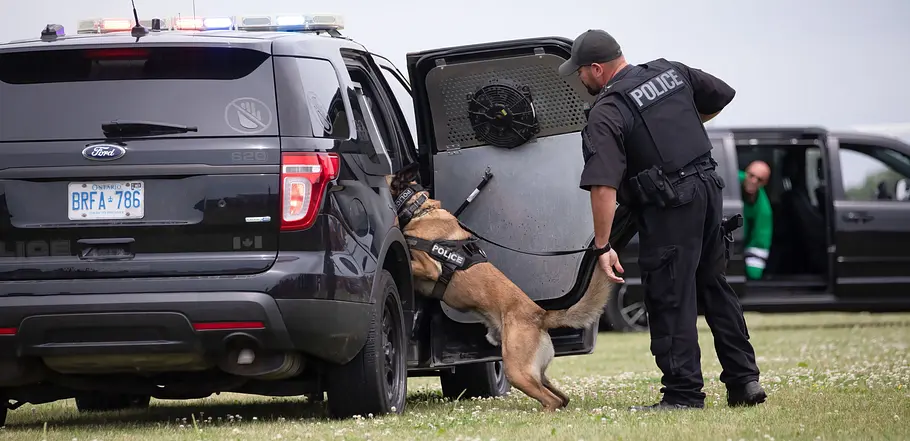 Border Patrol USA - Einsatz an Mexikos Grenze