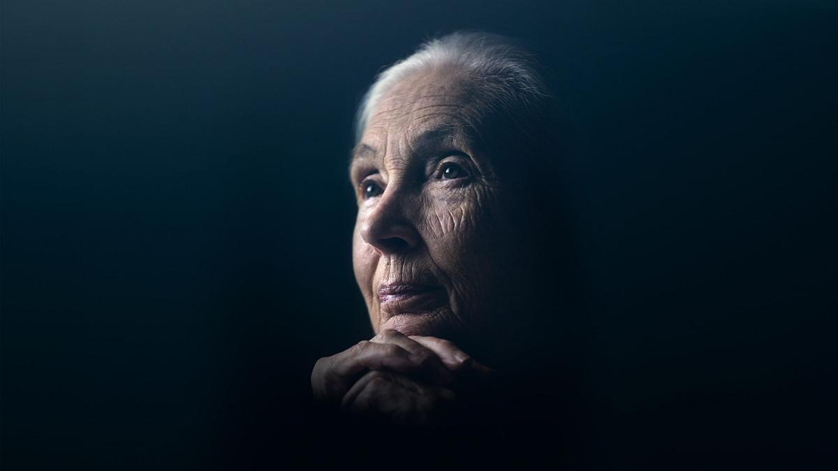 Jane Goodall: Hoffnung
