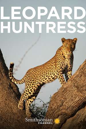 Malika jagt - Abenteuer einer Leopardin - Foto: TMDB