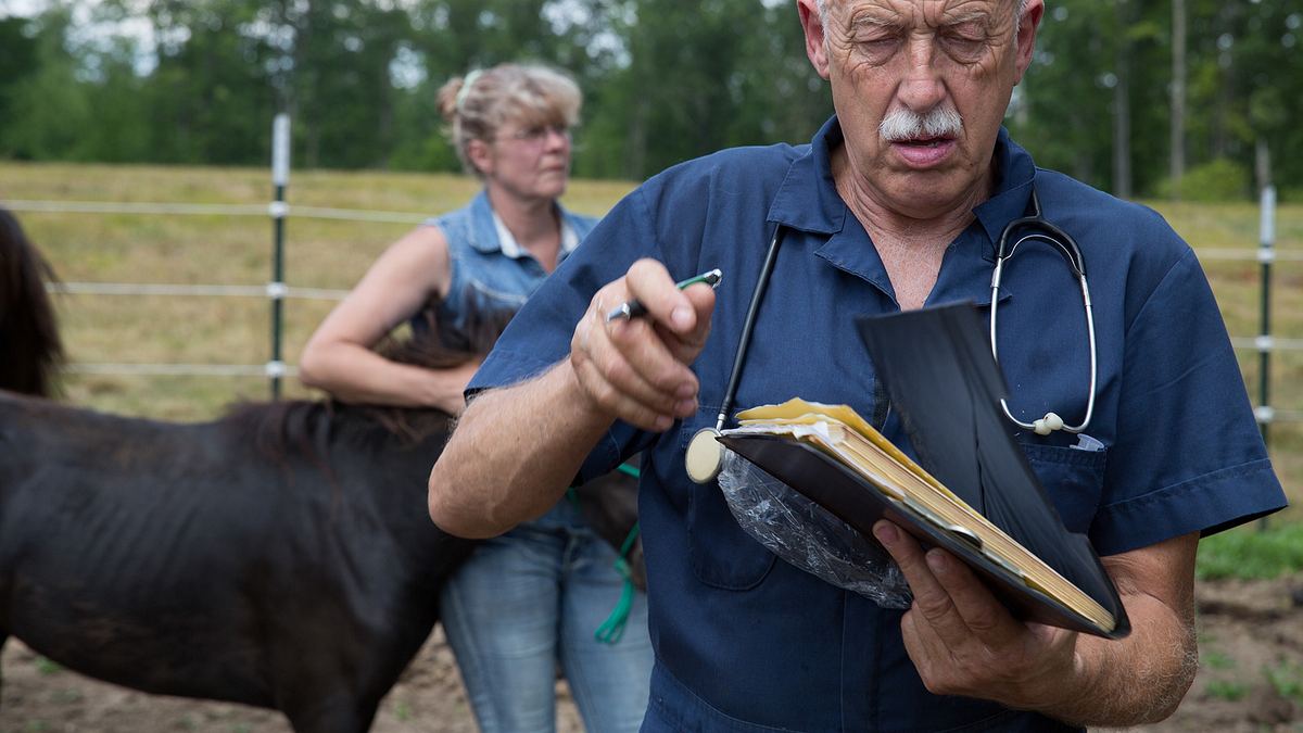 der unglaubliche dr. pol