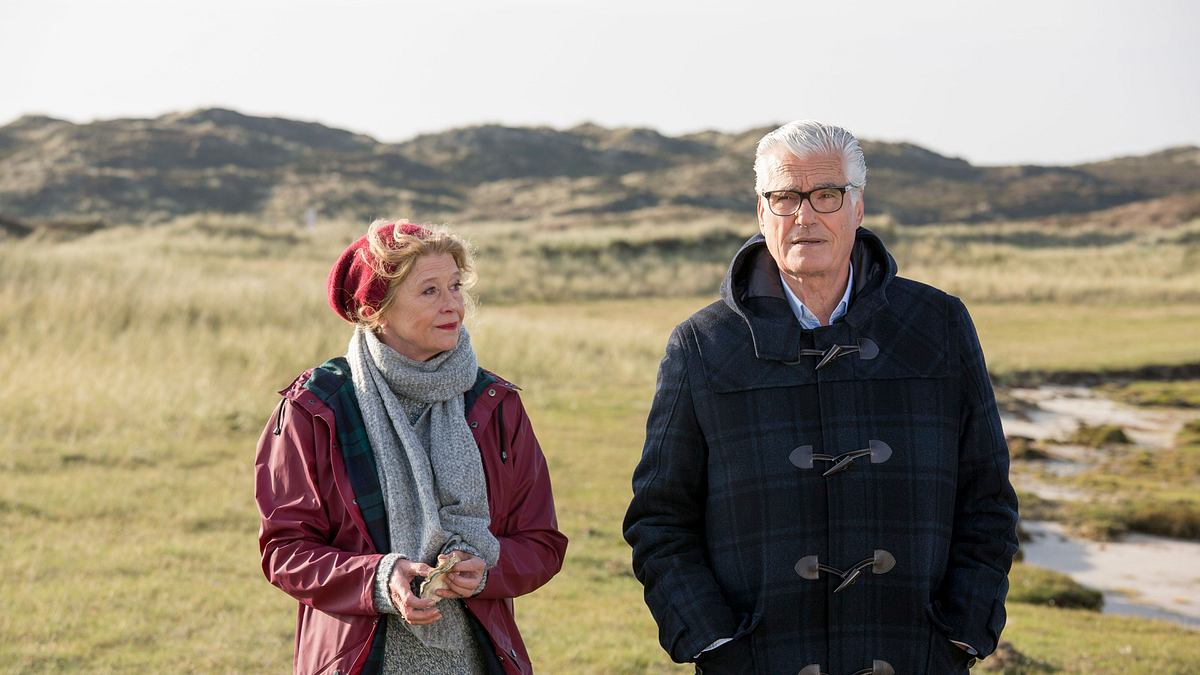dora heldt: wind aus west mit starken böen