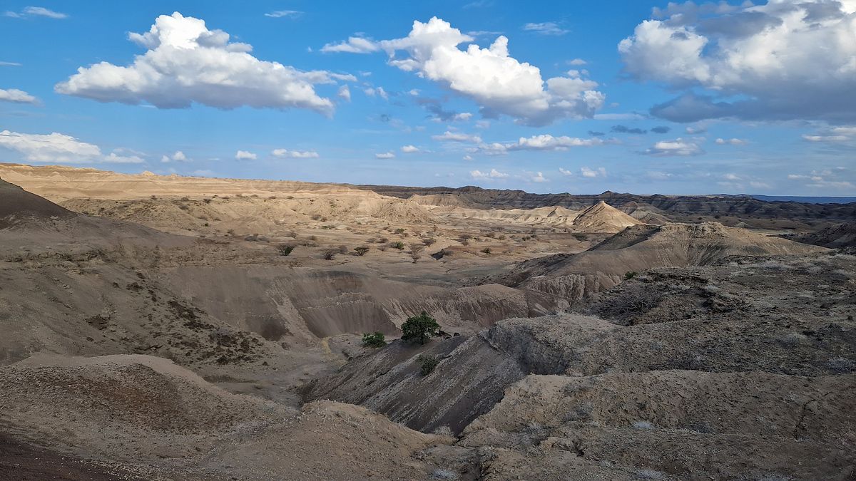 wunder der natur - auf den spuren der erdgeschichte