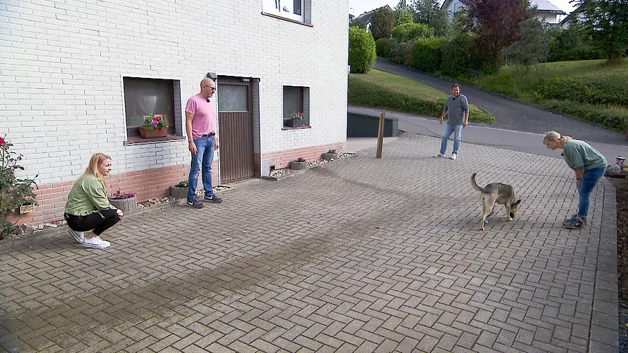 der hundeprofi