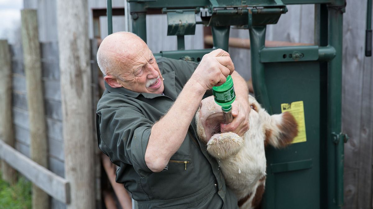 der unglaubliche dr. pol
