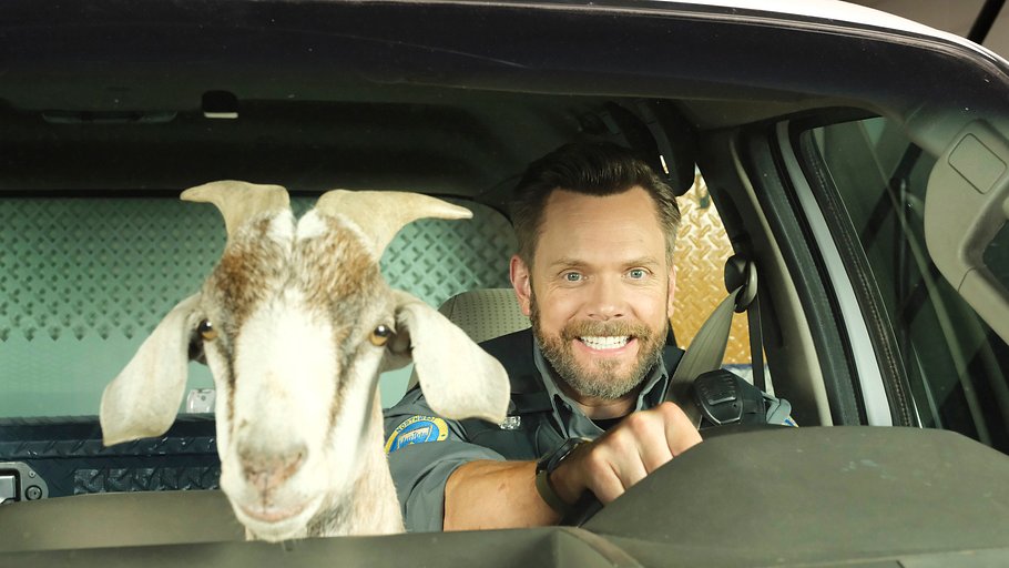 animal control