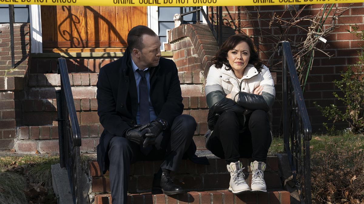 blue bloods - crime scene new york