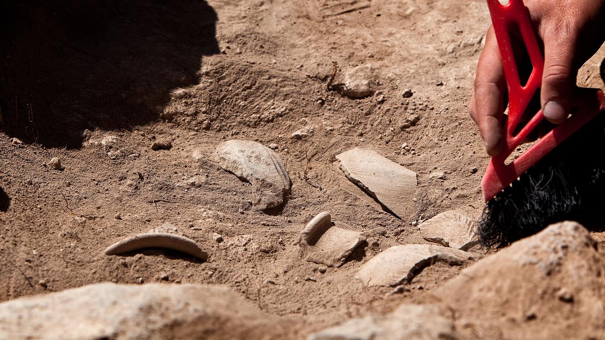 rätselhafte mumien: der wahrheit auf der spur