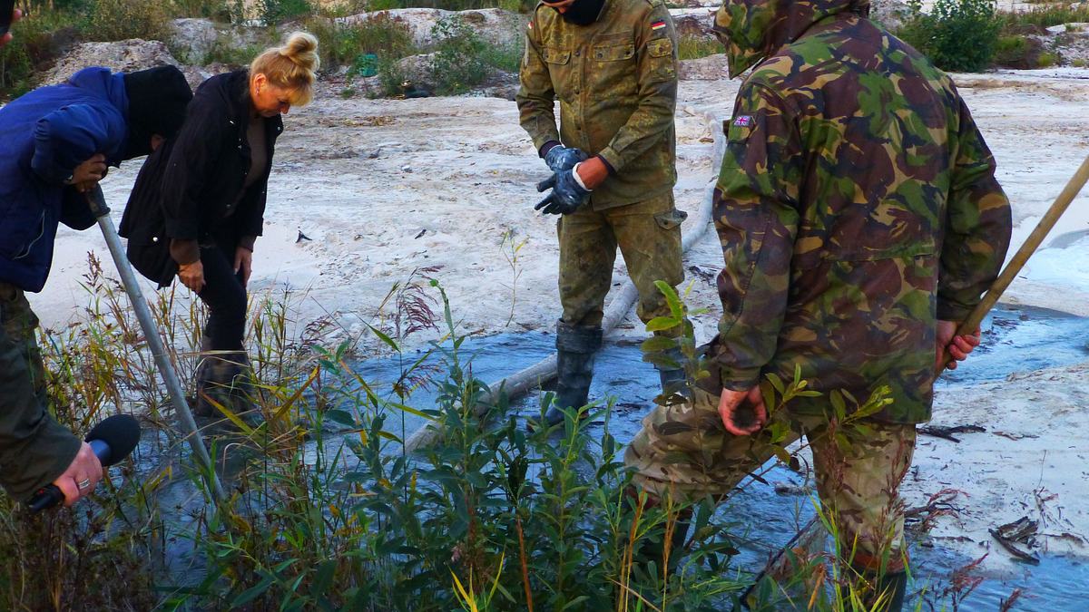 die investigative reportage