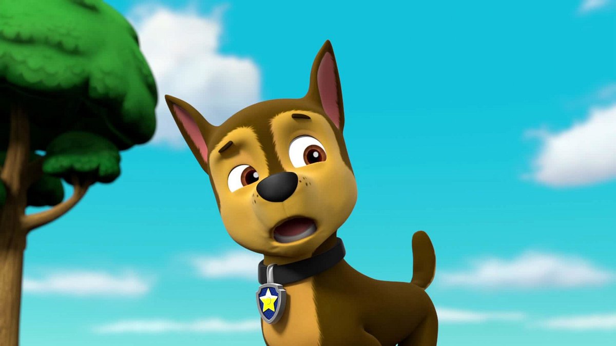 paw patrol - helfer auf vier pfoten