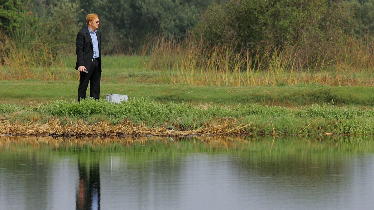 csi: miami