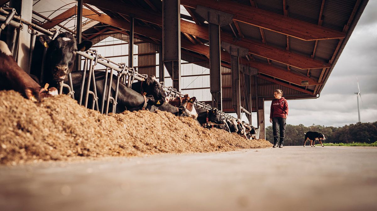 die geschichte der landwirtschaft - von der weide auf den teller