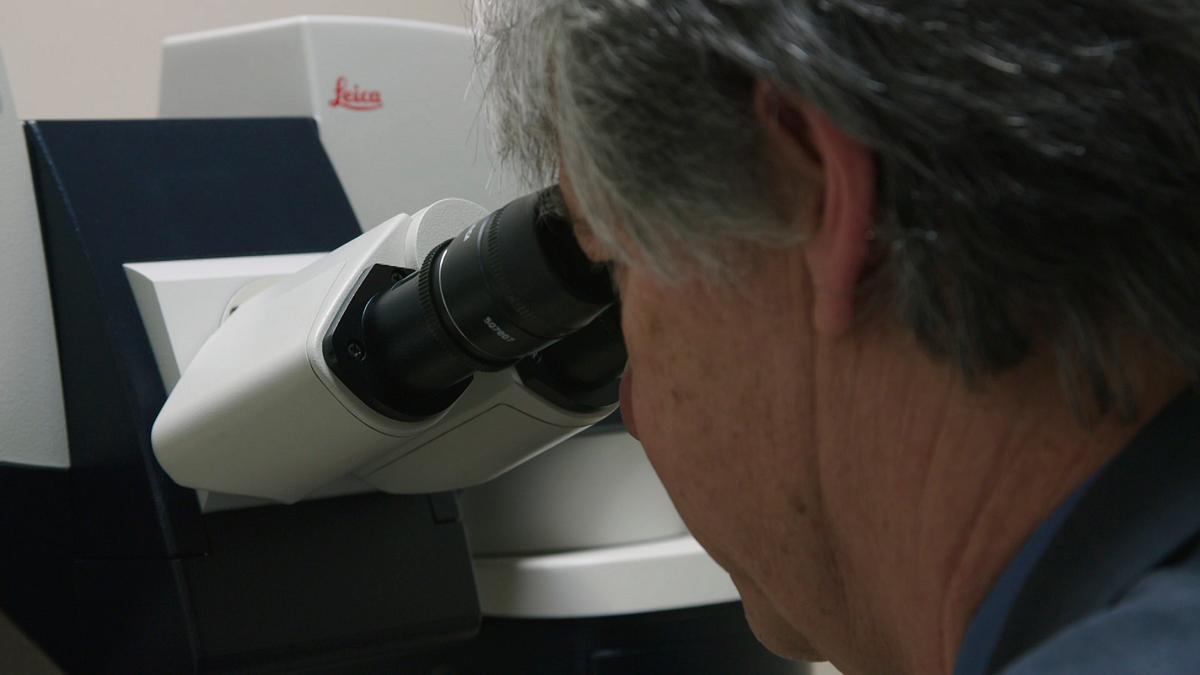 expert witness - forensiker auf spurensuche