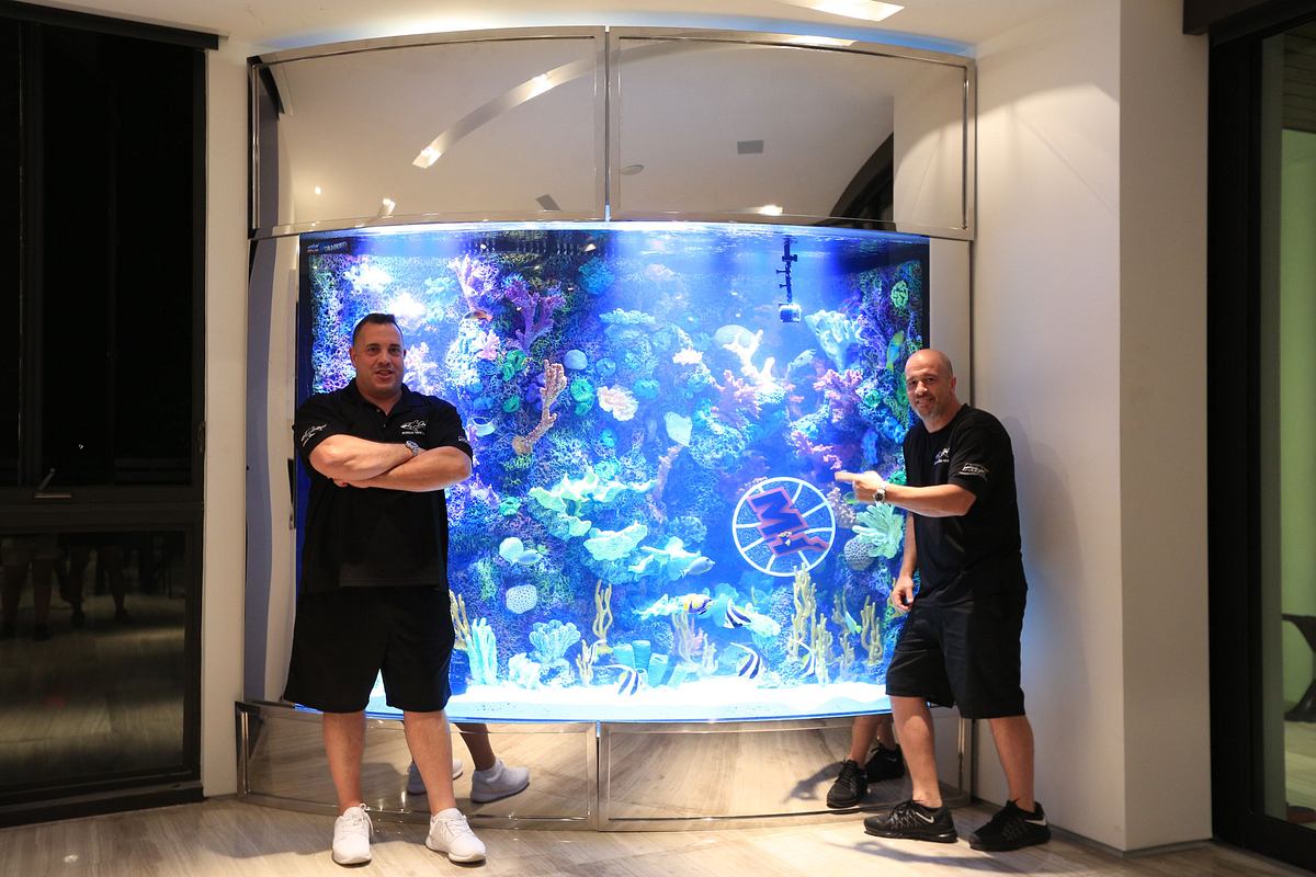 Die Aquarium-Profis die aquarium-profis