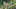 Video Platzhalter