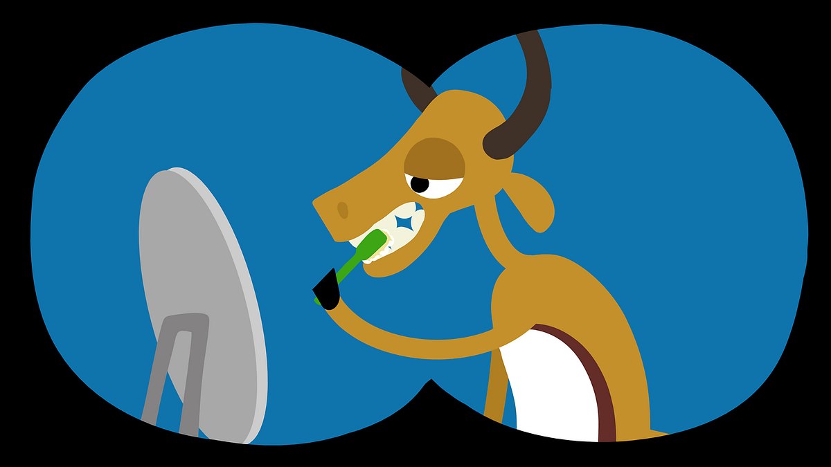 animanimals