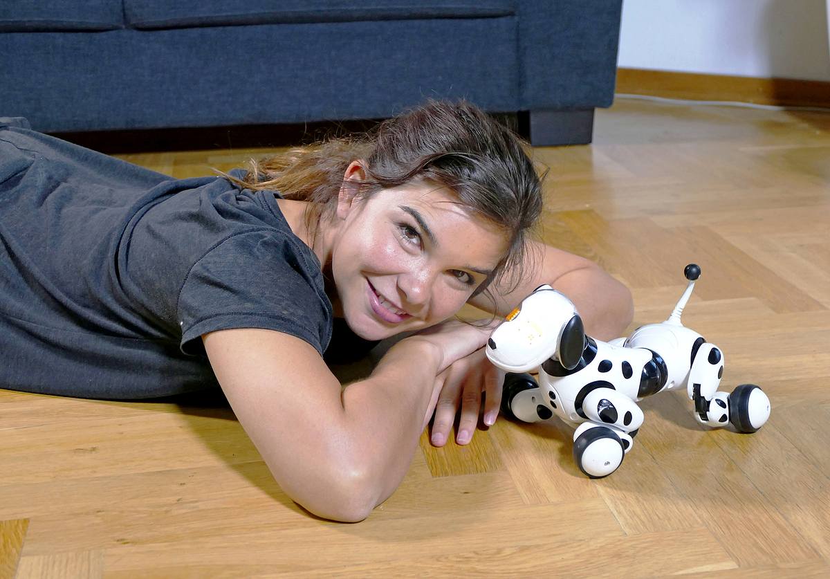 Anna und die Haustiere anna und die haustiere