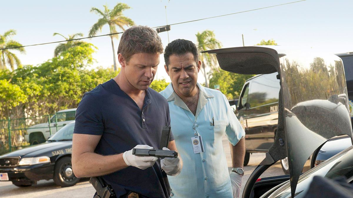 the glades