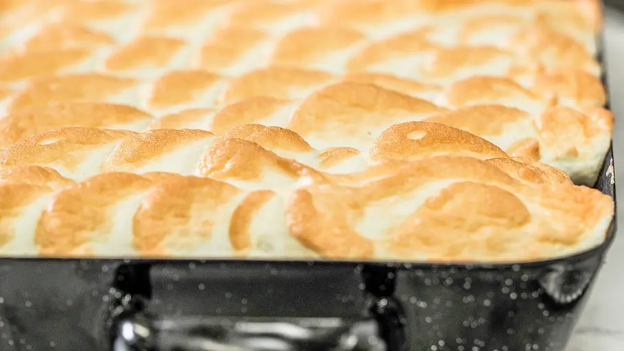 Schönbrunner Frühlingsgeschichten: Von Veilchen, Zitrusbäumen und kulinarischen Träumen schönbrunner frühlingsgeschichten: von veilchen, zitrusbäumen und kulinarischen träumen
