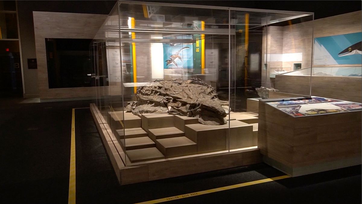 fabelhafte welt der dinosaurier