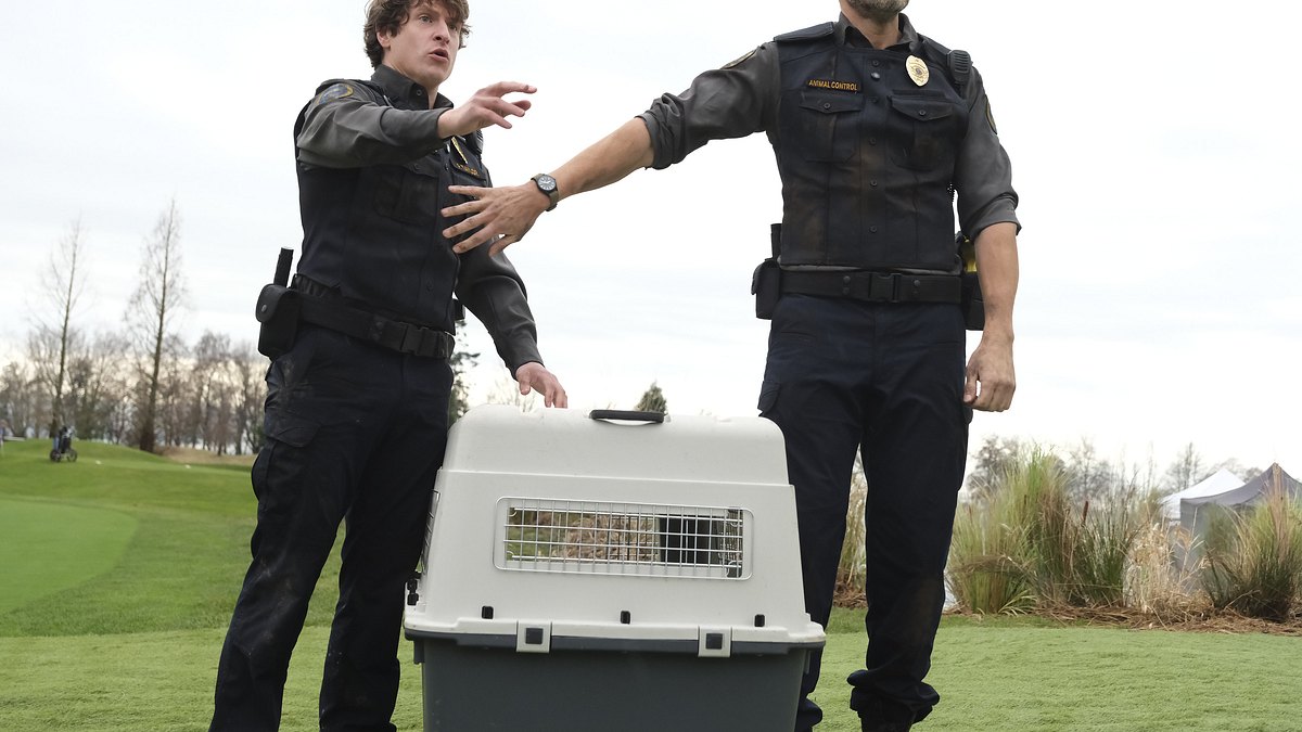 animal control