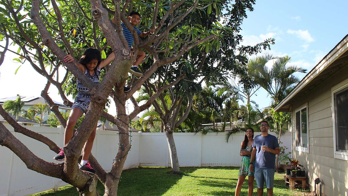Hawaii Hunters hawaii hunters