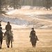 Yellowstone Thumbnail