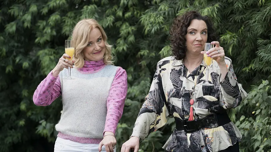 The Goldbergs the goldbergs