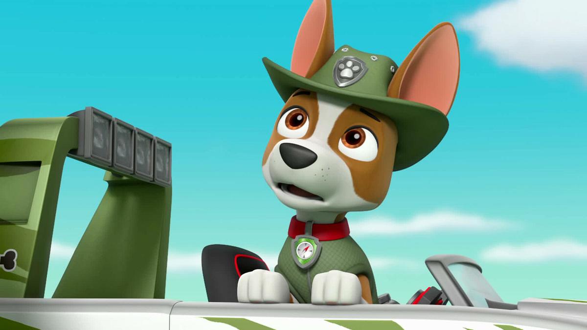 paw patrol - helfer auf vier pfoten